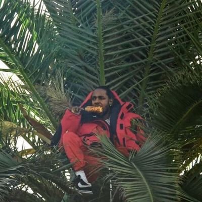 Offgrid08437238's profile picture. 