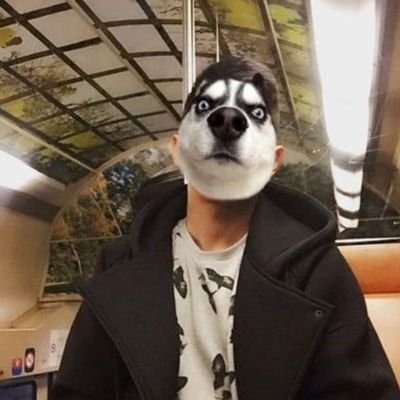 BDSMer|男主動|DS|手指強高|TK |SP| My sub,my treasure,my lover @hjasyl