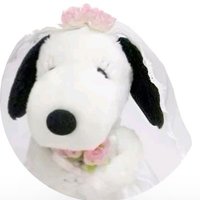 angie ᵎ (@douceann) 's Twitter Profile