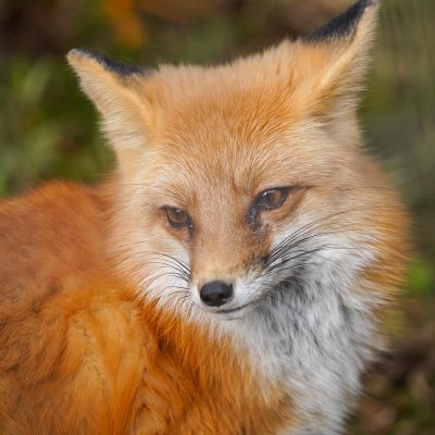 ImNotPree's profile picture. ImNotPre
https://t.co/5mU7u1qRXc