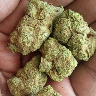 Building sustainable relationships through quality, Reliability, efficiency & affordability. We Supply Bulk & small quantity premium cannabis Nationwide ☘️🍀