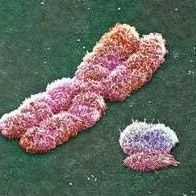 Franz (@damee83828) 's Twitter Profile Photo