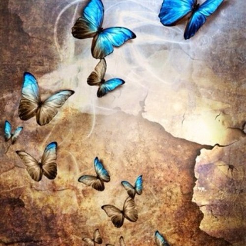 emmawolter's profile picture. 