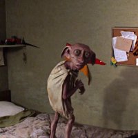 TomTom (@tom_tom510379) 's Twitter Profile