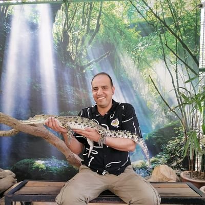 AlkhaldiGhaith's profile picture. 