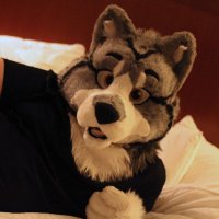 KnottyHusky at FCL (@knottyhuskyad) 's Twitter Profile Photo