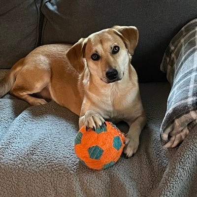 Dave777222's profile picture. 
