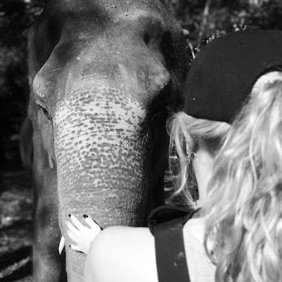 JayJexxie's profile picture. 