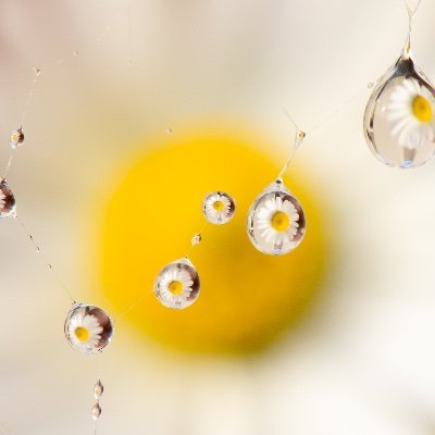 forever1968_'s profile picture.