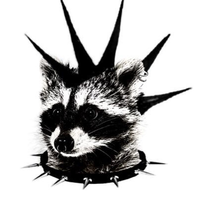 Rayさんのプロフィール画像