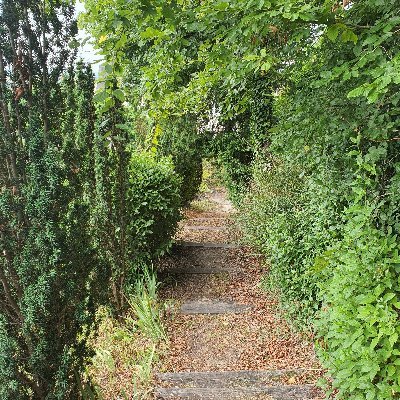 GregSG79's profile picture. 