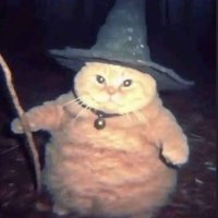 Whackvik (@whackvik) 's Twitter Profile Photo Whackvik (@whackvik) 's Twitter Profile Photo