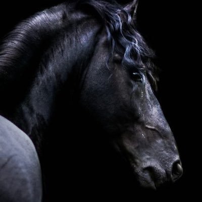 ” أثـبـت قـيـمـة نـفـسـك لـنـفـسـك ولـيـس لـآخـريـن .“