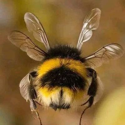 Steward4Life's profile picture. I am always where I need to bee.
Saving today's events to share with family & friends. (BOTS WILL BE BLOCKED.) I'm not here for likes.