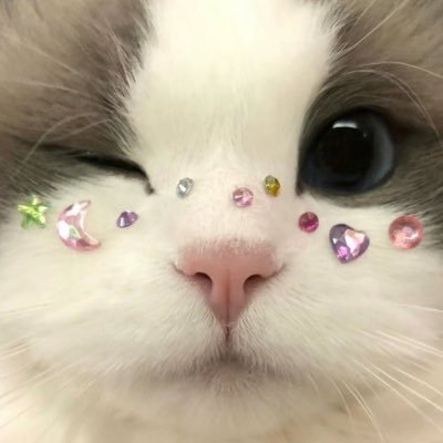 /cybersec engineer and very cool girl / oatmiik is my discord I'm not active here💌
