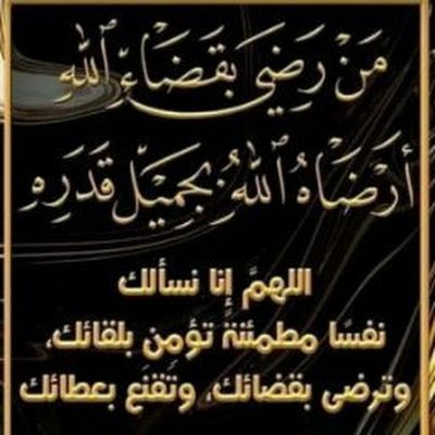 MNaji652137's profile picture. 