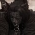 𝐂𝐄𝐑𝐁𝐄𝐑𝐔𝐒 🪷 (@cerberuscomplex) Twitter profile photo 𝐂𝐄𝐑𝐁𝐄𝐑𝐔𝐒 🪷 (@cerberuscomplex) Twitter profile photo