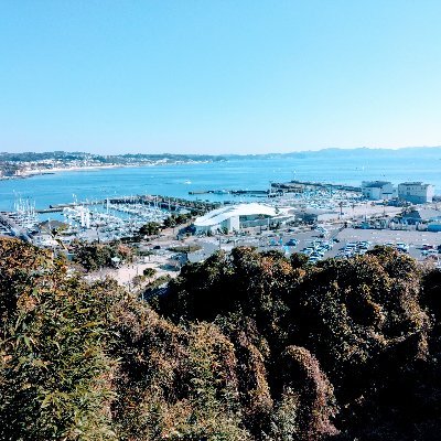 yaaminnaoreda__'s profile picture. デスクンニなう