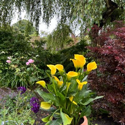 Rob Wood 🇬🇧🐻🇬🇧🐻🇬🇧