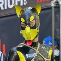 Gringo (@pup_gringo) 's Twitter Profile Photo