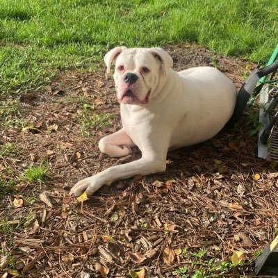 jus41867's profile picture. 