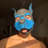 PupBello (@bello_pup) 's Twitter Profile