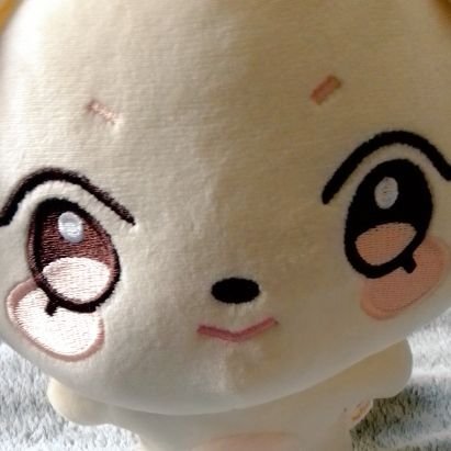 🍀𝓽𝓻𝓪𝓬𝔂_𝓭𝓮𝓪𝓭𝓵𝔂さんのプロフィール画像