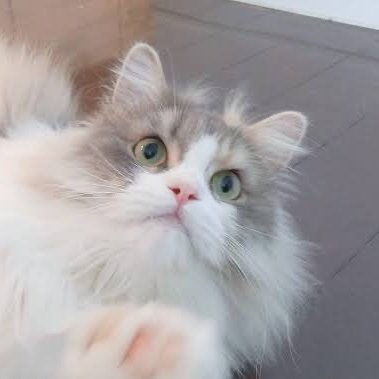 xEJmuSVOFK96467's profile picture. 