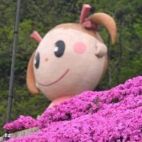 ズレタこ@家事従事11時12時🕐🕑🕒 (@takonomatazure) 's Twitter Profile