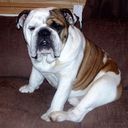 Andy Wynn - @FDS_Ngrid_Andy - Twitter