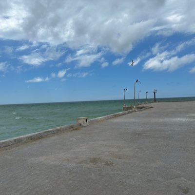 marcelacere's profile picture. 