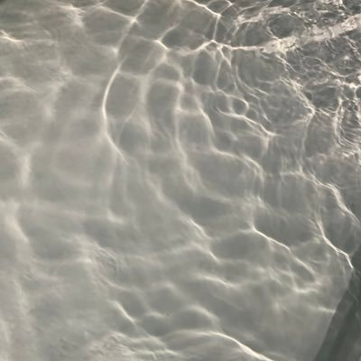 xeesxaa's profile picture. 日常