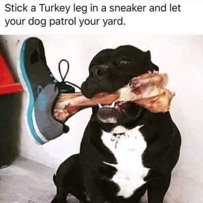 carol_blev16730's profile picture. 