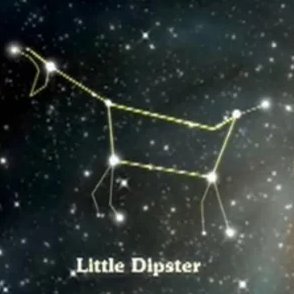 LittleDipst3r's profile picture. 