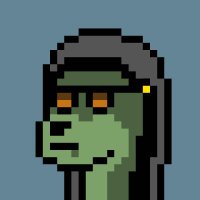 Fractal PunkDoge (@fractalpunkdoge) 's Twitter Profile