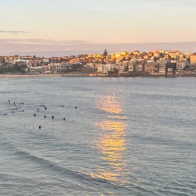 andre_evolving's profile picture. Writer, homesteader, meditation teacher. Wild about human potential, consciousness science, regenerative ecology, new energy tech + participatory democracy 🌿