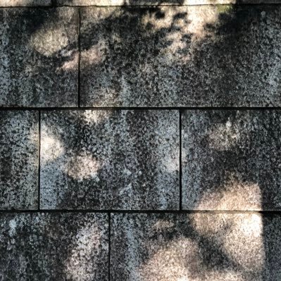 ooooouchi0305's profile picture. 乗っ取られたので復活　親しい人にはろひとか呼ばれてます