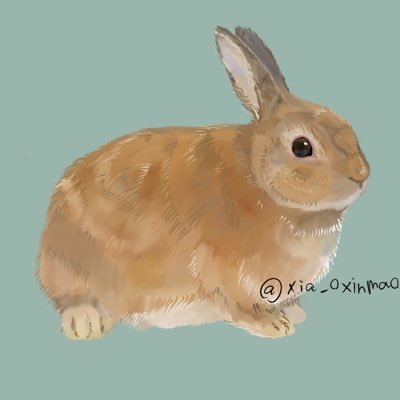 わんさんのプロフィール画像