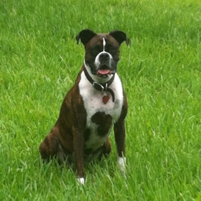 cwill5977's profile picture.