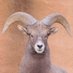 High Desert (@steppeplateau) Twitter profile photo High Desert (@steppeplateau) Twitter profile photo