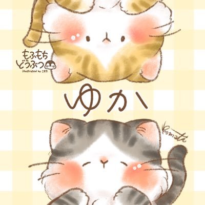 ★にゃんこ好き(*˘︶˘*).。.:*♡★ アニモンダ えっくす☆きゅーと特別企画第4弾！「Star Sprinkles/ Moon Cat