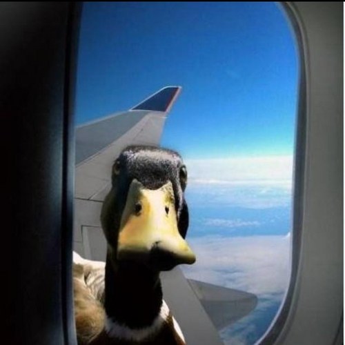 888888CP's profile picture. just getting on with it