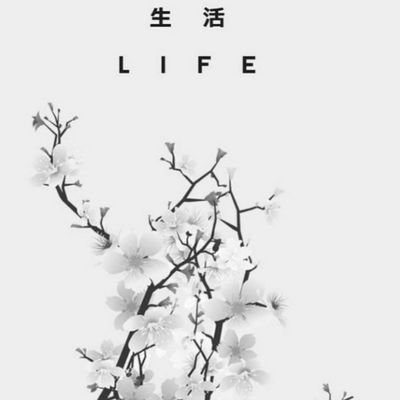 josh_shadowcode's profile picture. 