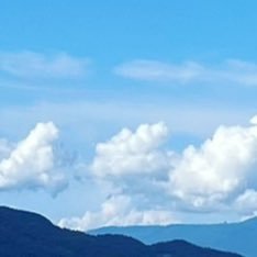 JFP9BRnq4338091's profile picture. 