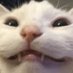 ✨BigBoobManSimp✨ (@cloudpie07) Twitter profile photo ✨BigBoobManSimp✨ (@cloudpie07) Twitter profile photo