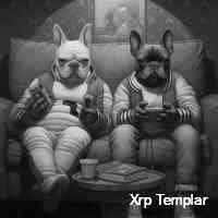 templarrxrp's profile picture. Living the crypto life, embracing every ebb and flow