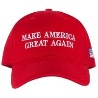 Capitalism will Make America Great Again (@capitalisthog) 's Twitter Profile