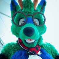 🏳️🌈 KeitoTheDolf 🏳️🌈 (@keitothewolf) 's Twitter Profile Photo 🏳️🌈 KeitoTheDolf 🏳️🌈 (@keitothewolf) 's Twitter Profile Photo