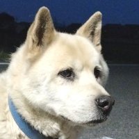 ぎなんちょ。😜 (@mune_ito0207) Twitter profile photo