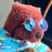 たかいち (@ichi27ichi) 's Twitter Profile Photo たかいち (@ichi27ichi) 's Twitter Profile Photo
